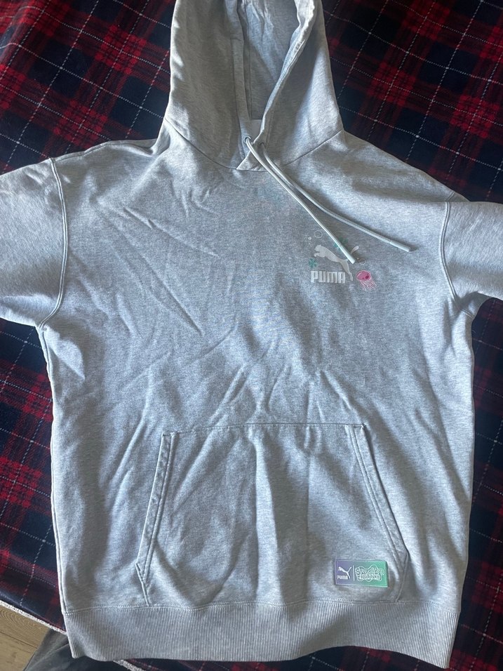 Gri Kapüşonlu Baskılı Kadın Sweatshirt - Görsel 4