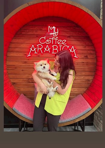 yağ yeşili yelek - Görsel 3