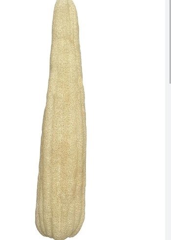 Doğal Kabak Lifi - Görsel 2