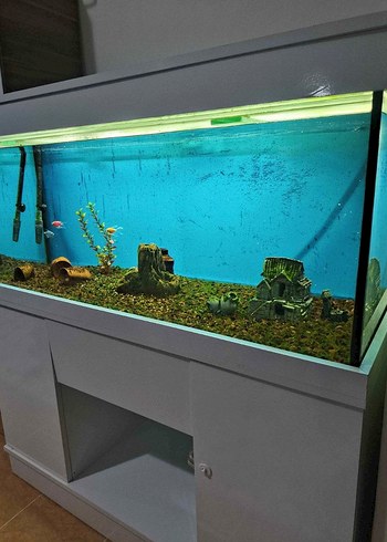 Gri Akvaryum ve Standı - Görsel 3