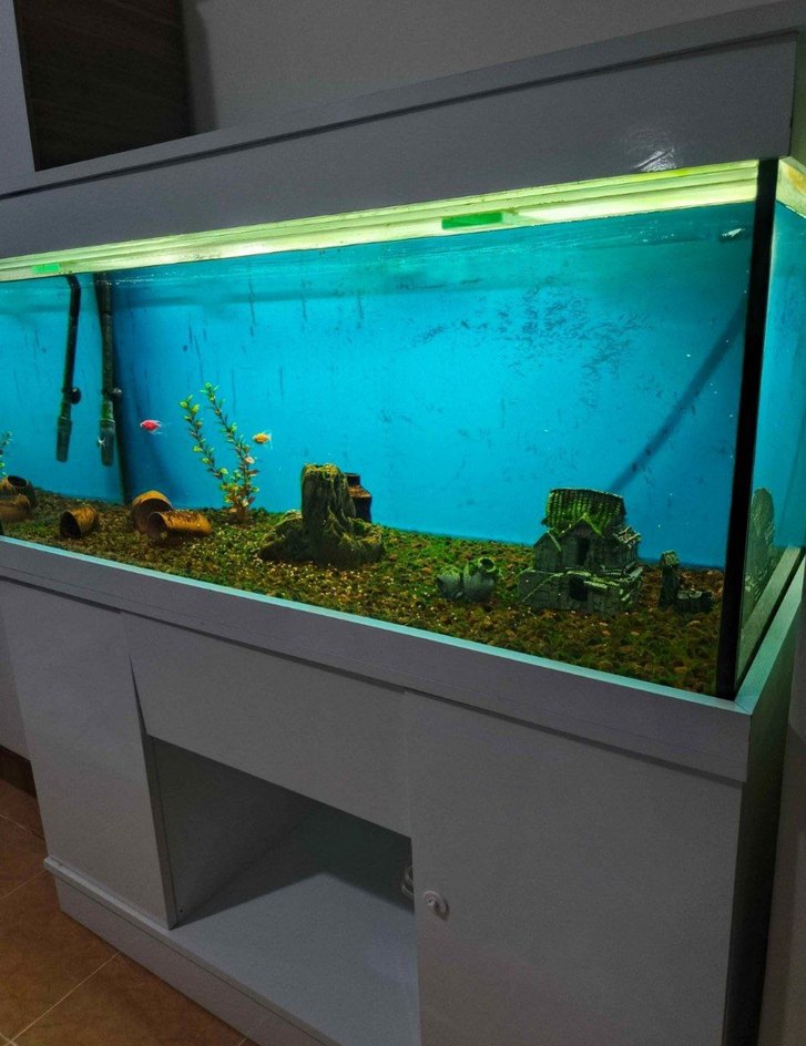 Gri Akvaryum ve Standı - Görsel 2