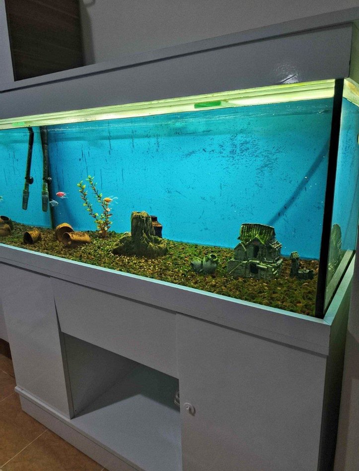 Gri Akvaryum ve Standı - Görsel 3