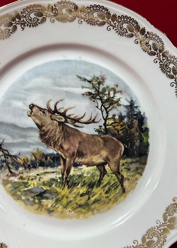 Altın Varaklı Baskılı Tabak Seti - Görsel 5