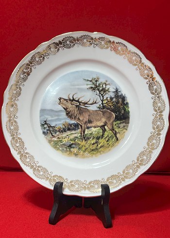 Altın Varaklı Baskılı Tabak Seti - Görsel 2