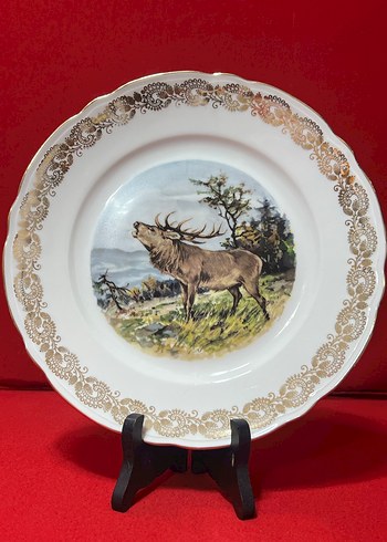 Altın Varaklı Baskılı Tabak Seti - Görsel 3