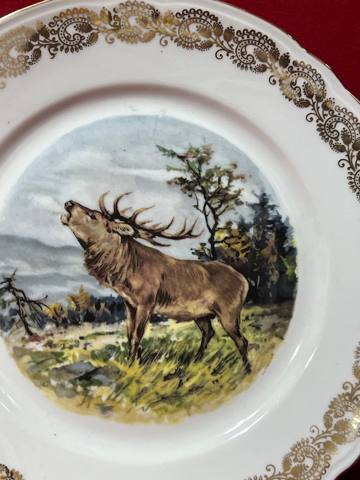 Altın Varaklı Baskılı Tabak Seti - Görsel 5