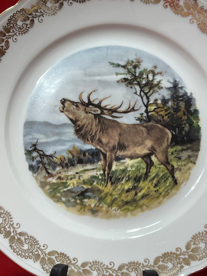 Altın Varaklı Baskılı Tabak Seti - Görsel 4