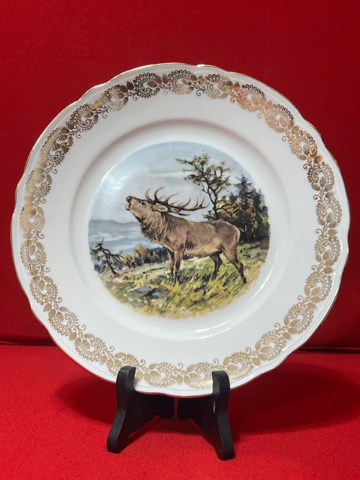 Altın Varaklı Baskılı Tabak Seti - Görsel 2