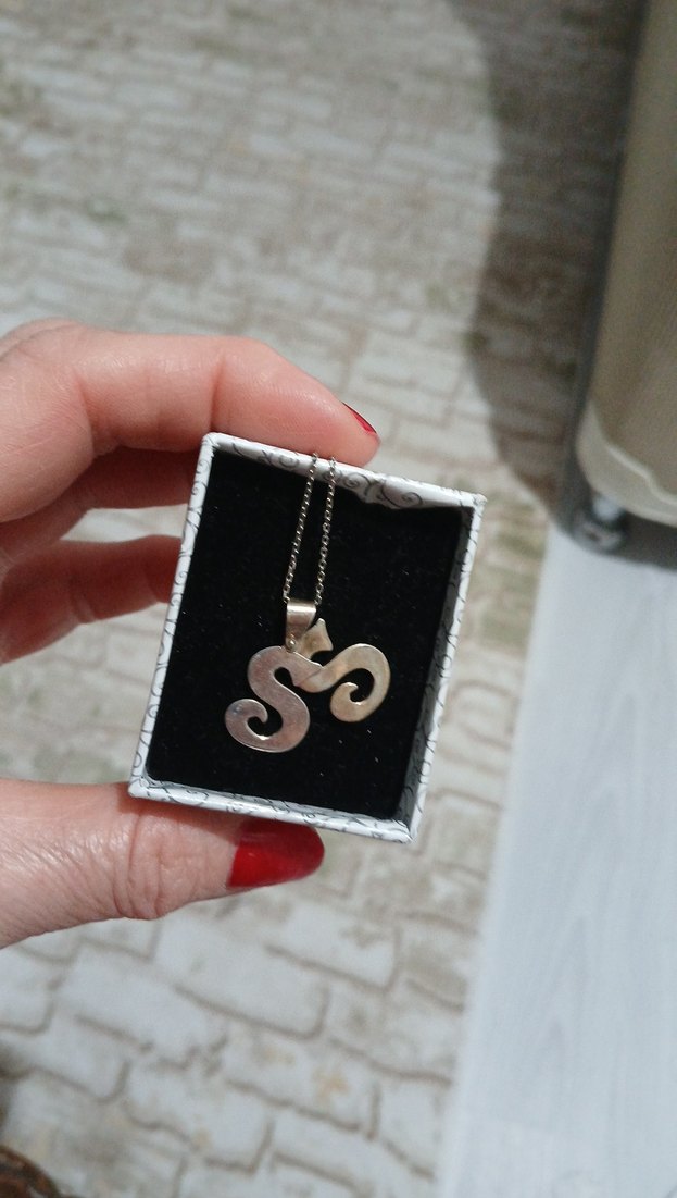 Mini Yılan Desenli Zincir Kolye - Görsel 4