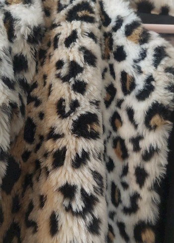 kaçırma Leopar kaban - Görsel 3