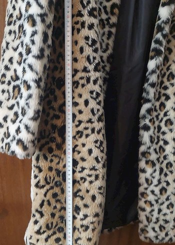 kaçırma Leopar kaban - Görsel 6