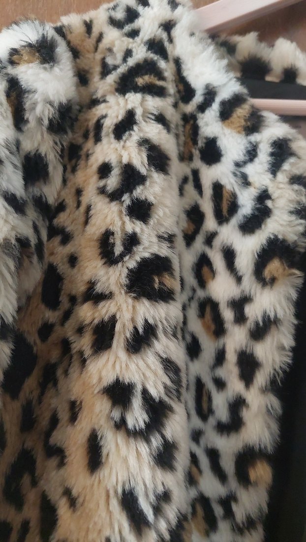 kaçırma Leopar kaban - Görsel 3