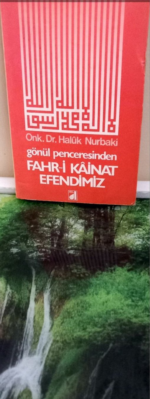 Onk. Dr. Halûk Nurbaki - Gönül Penceresinden Kitap - Görsel 2