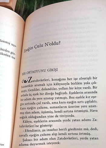 Aziz Nesin - Şehirden İndim Köye - Görsel 5
