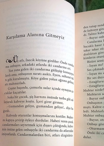 Aziz Nesin - Şehirden İndim Köye - Görsel 4