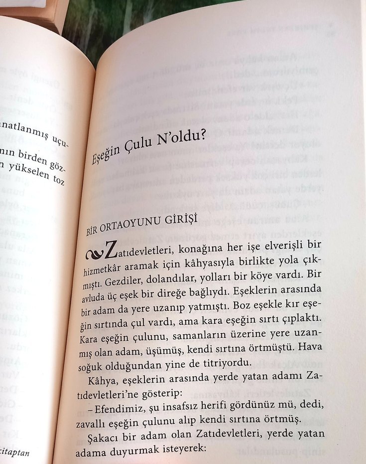 Aziz Nesin - Şehirden İndim Köye - Görsel 5