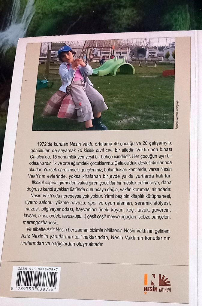 Aziz Nesin - Şehirden İndim Köye - Görsel 2