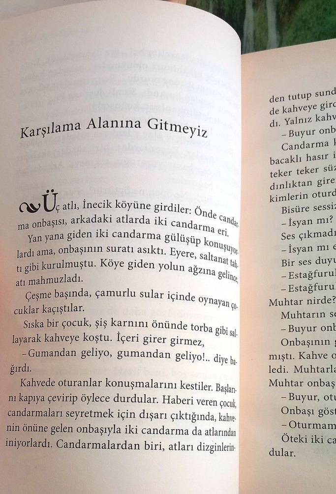 Aziz Nesin - Şehirden İndim Köye - Görsel 4