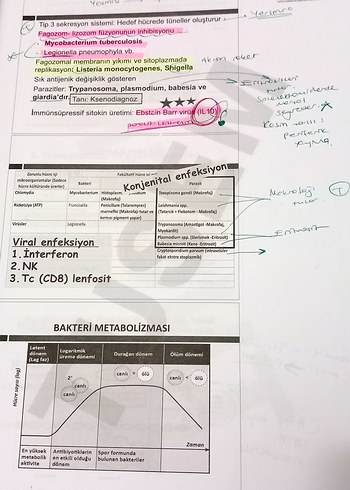 TUS Kampı Mikrobiyoloji Kitabı - Görsel 2