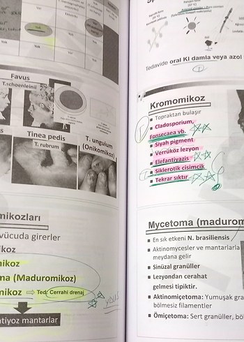 TUS Kampı Mikrobiyoloji Kitabı - Görsel 4