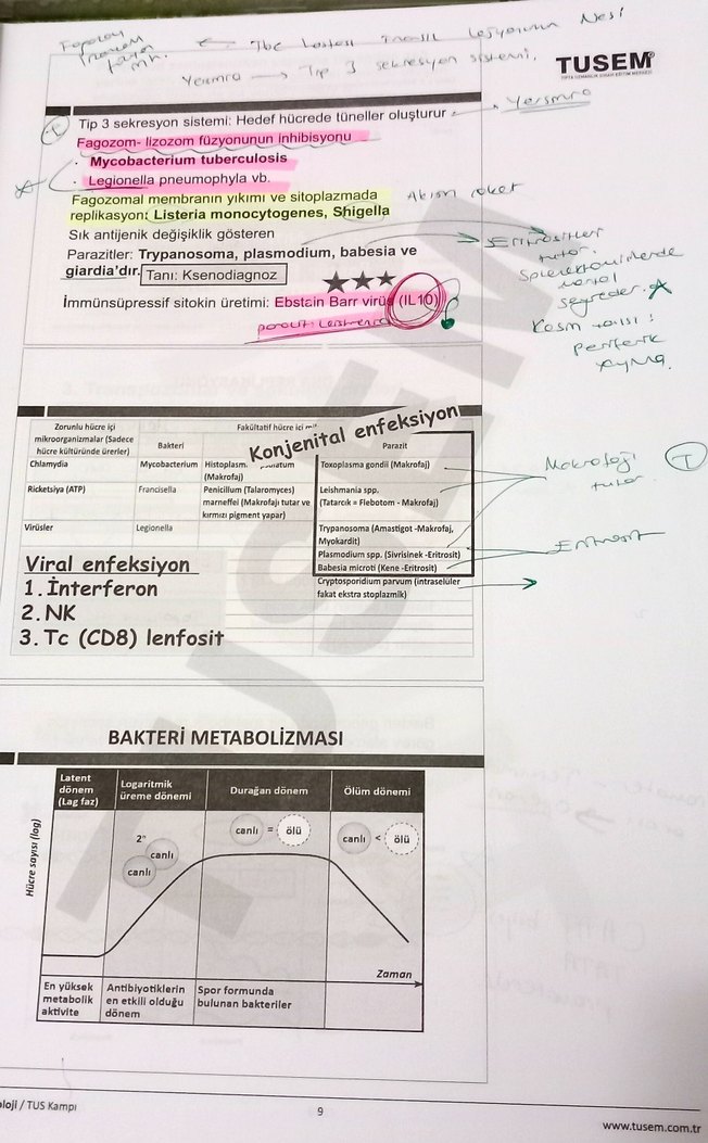 TUS Kampı Mikrobiyoloji Kitabı - Görsel 2