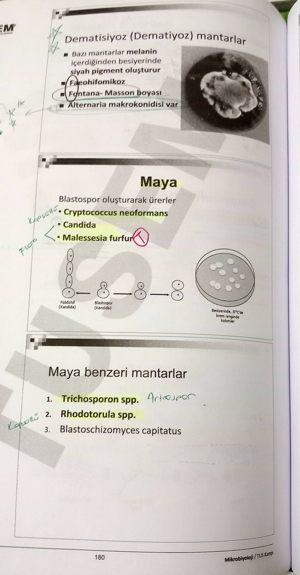 TUS Kampı Mikrobiyoloji Kitabı - Görsel 5