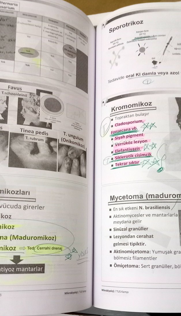 TUS Kampı Mikrobiyoloji Kitabı - Görsel 4