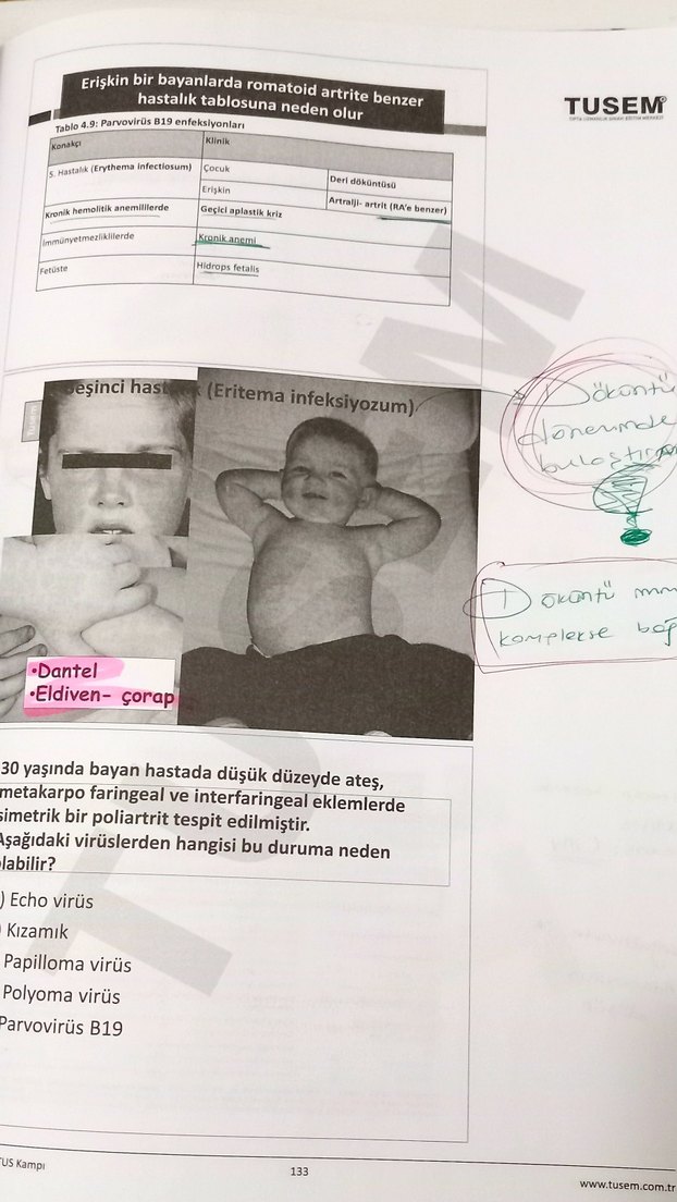 TUS Kampı Mikrobiyoloji Kitabı - Görsel 3