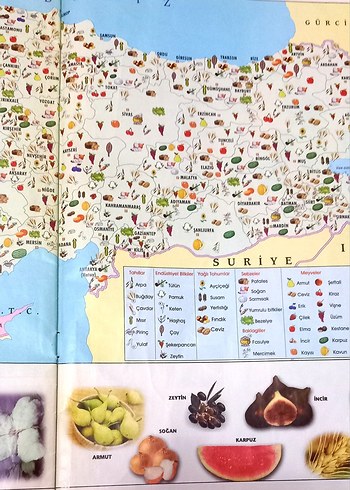 İlköğretim Coğrafya Atlası ve Türkiye Haritaları - Görsel 4