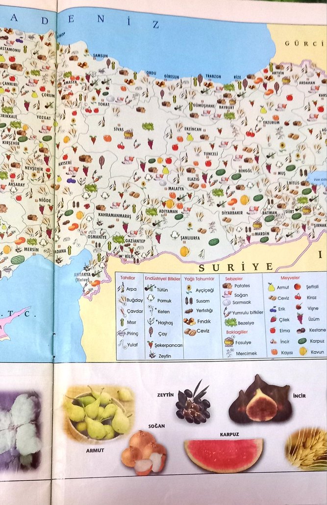 İlköğretim Coğrafya Atlası ve Türkiye Haritaları - Görsel 4