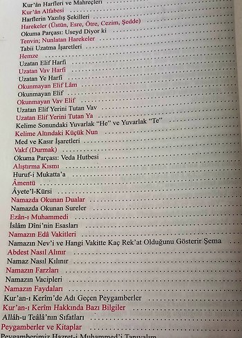 Yeni Kur'an Dili - Hamza Ayan - Görsel 3