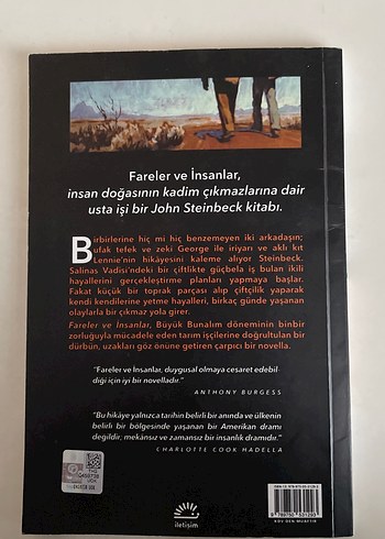 Fareler ve İnsanlar - John Steinbeck - Görsel 2