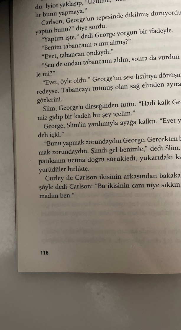 Fareler ve İnsanlar - John Steinbeck - Görsel 4