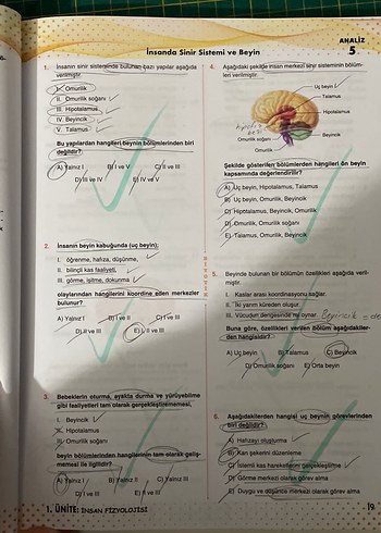 11. Sınıf Biyoloji Soru Bankası Video Çözümlü - Görsel 3