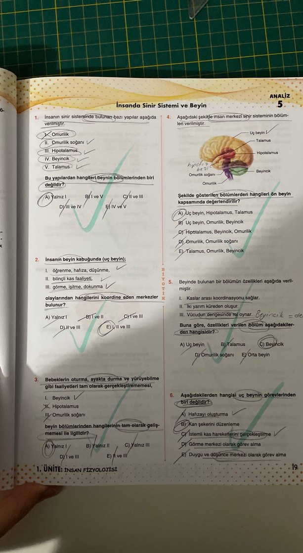11. Sınıf Biyoloji Soru Bankası Video Çözümlü - Görsel 3