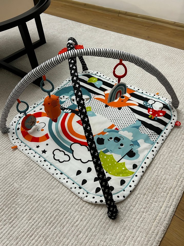 Fisher Price Bebek Oyun Halısı - Görsel 2