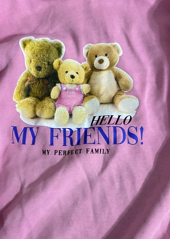 Pembe Peluş Ayı Aile Baskılı Sweatshirt - Görsel 4