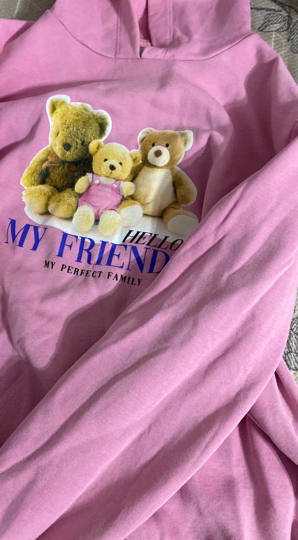 Pembe Peluş Ayı Aile Baskılı Sweatshirt - Görsel 5