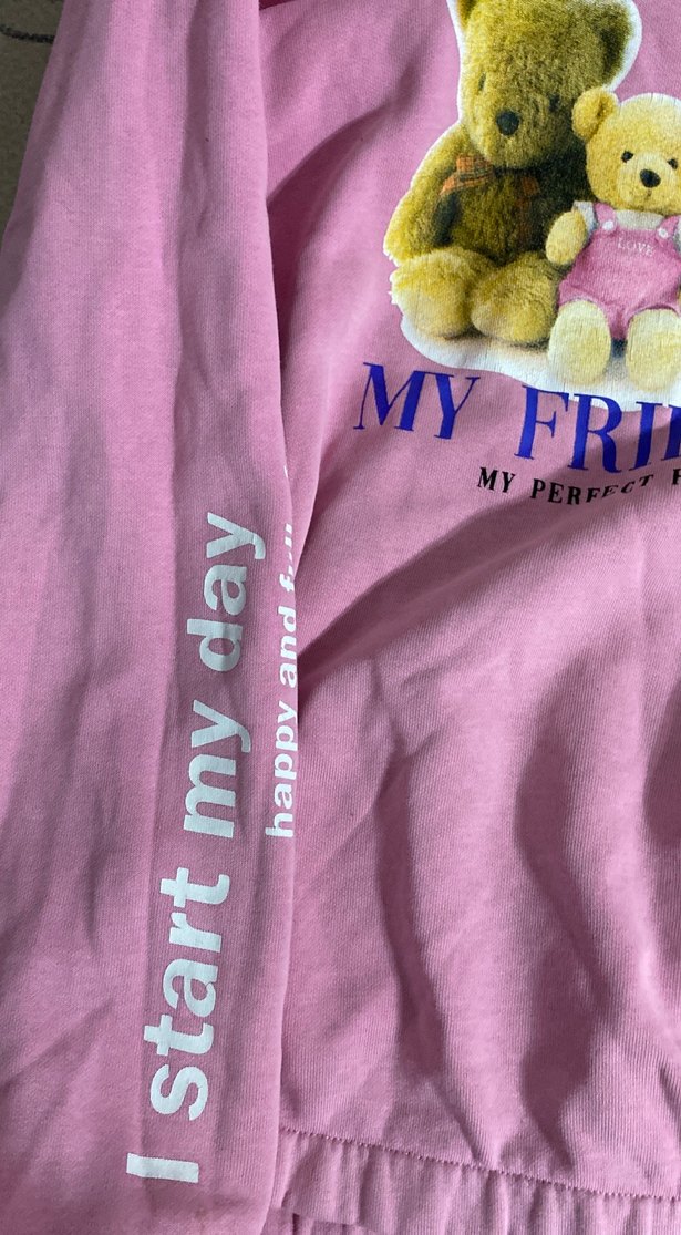 Pembe Peluş Ayı Aile Baskılı Sweatshirt - Görsel 3