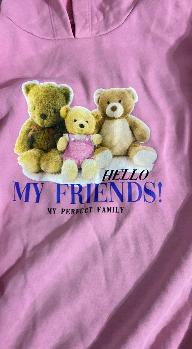 Pembe Peluş Ayı Aile Baskılı Sweatshirt - Görsel 4