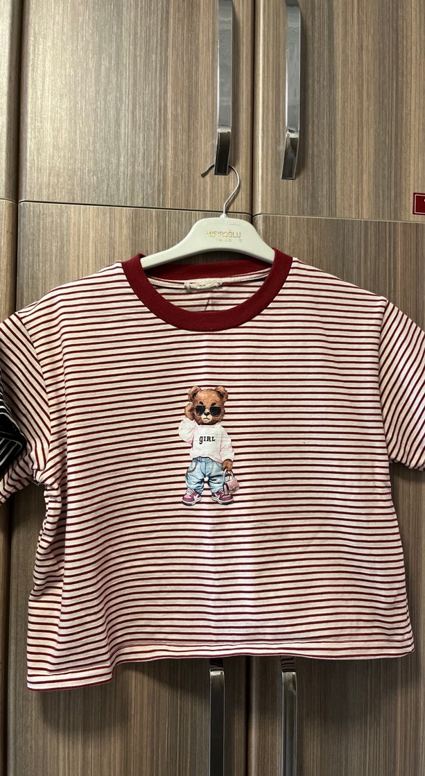 Kız Çocuk Çizgili Nakışlı Kısa Kollu Tişört - Görsel 3