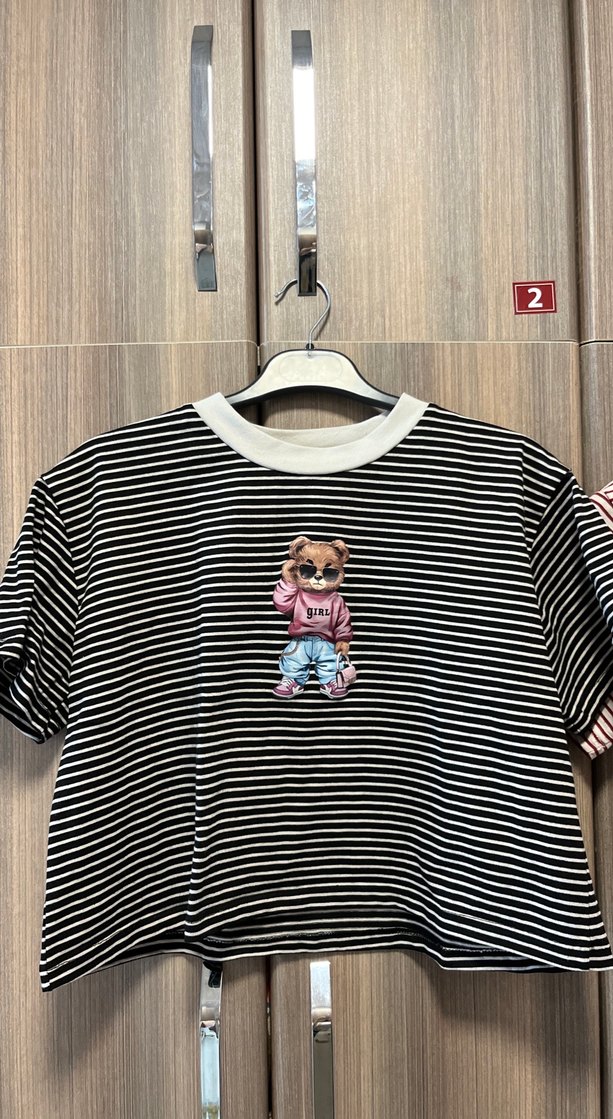 Kız Çocuk Çizgili Nakışlı Kısa Kollu Tişört - Görsel 2