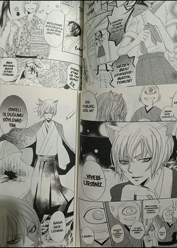 Kamisama Kiss - Tanrılık Görevine Başladım Cilt 1-2 Anime Seti - Görsel 2