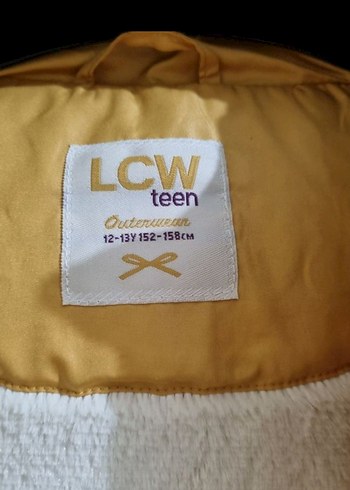 Sarı Yaka Detaylı Kadın Yelek - Görsel 3