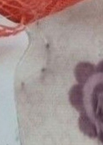 Renkli Baskılı kız çocuk tişört - Görsel 2