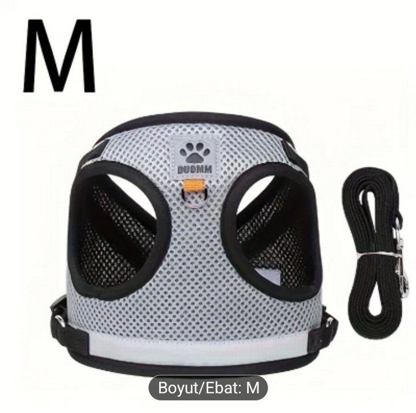 Premium Kedi Tasma Seti  Konfor & Stil Bir Arada - Görsel 2