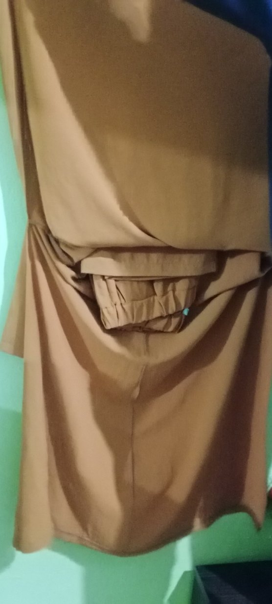 Bej Uzun Kollu Salaş Kadın Elbise - Görsel 2