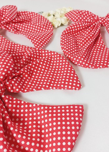 Kırmızı Puantiyeli yengeç  Toka - Görsel 4