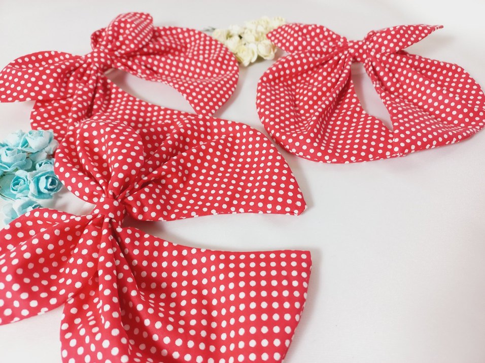 Kırmızı Puantiyeli yengeç  Toka - Görsel 4