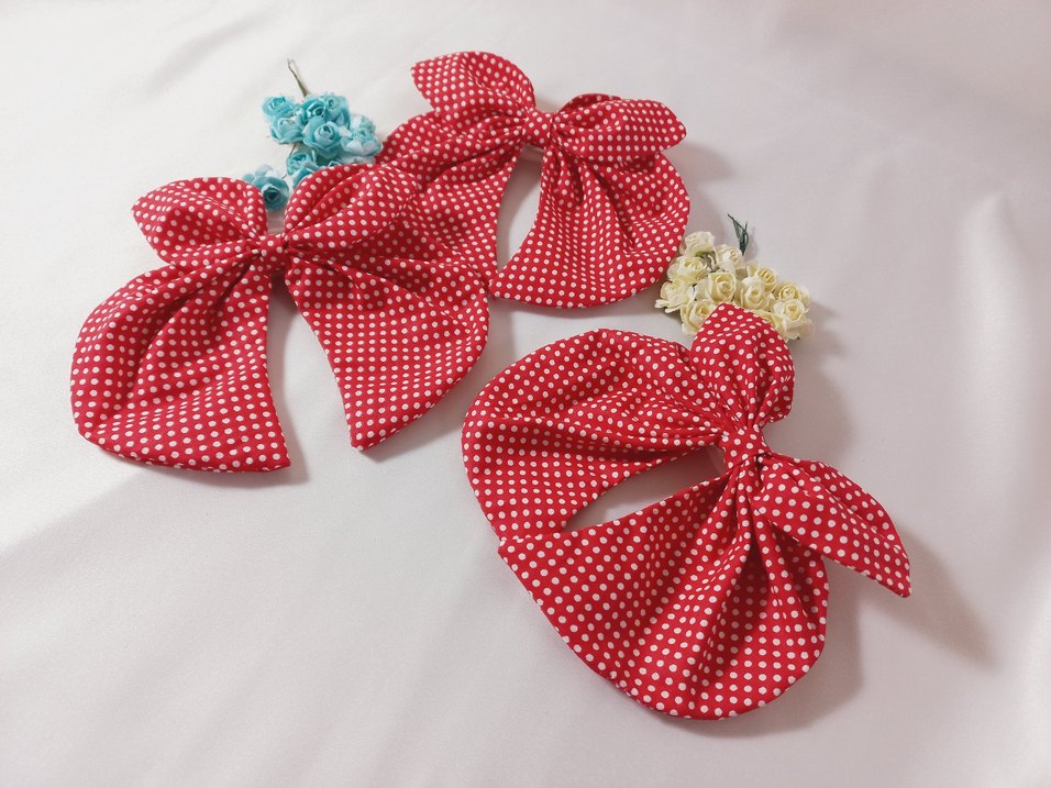 Kırmızı Puantiyeli yengeç  Toka - Görsel 5